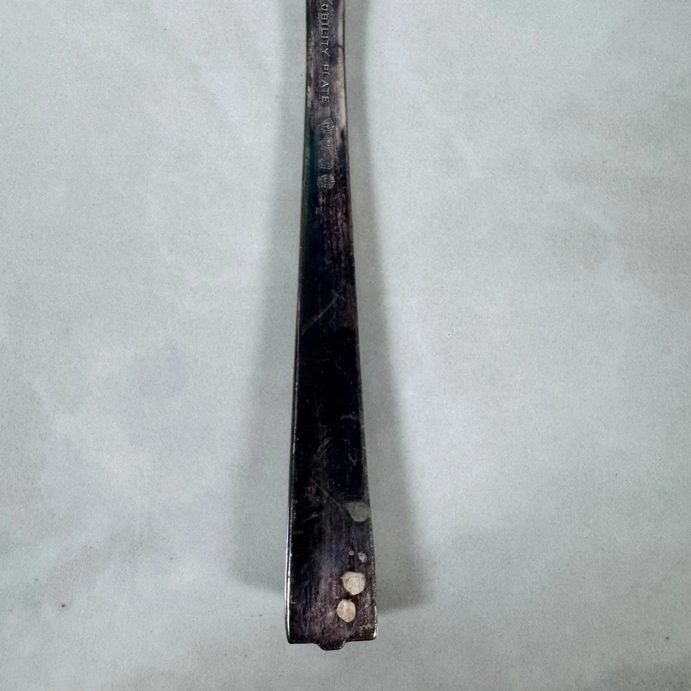 Oneida Nobility Plate Silver Plated‎ Master Butter Knife Caprice Floral Pattern